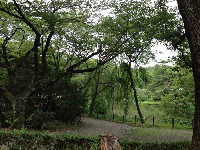 森林公園フォレストラン 愛知県森林公園の写真