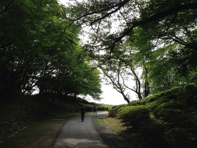 森林公園フォレストマラソン 愛知県森林公園の写真