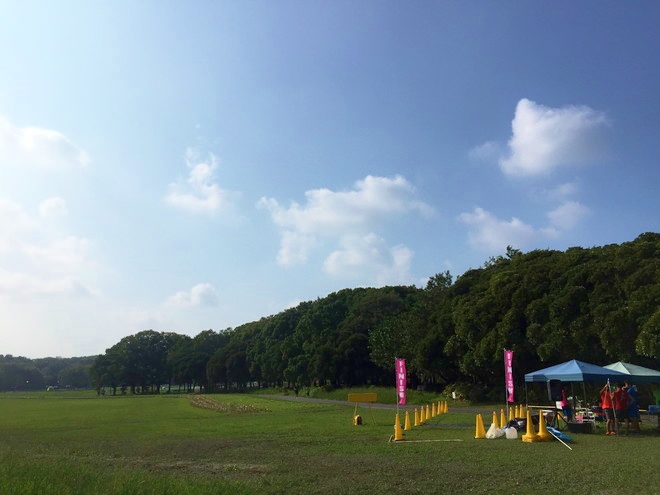 トワイライトマラソン in 庄内緑地 画像