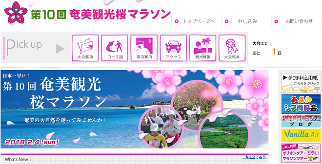 奄美観光桜マラソン208画像