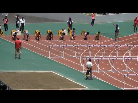 準決勝 男子110mH 1組・2組 南関東大会 R01