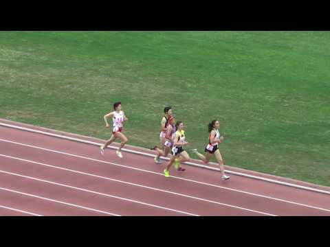 H29　南関東　女子800m　予選1組