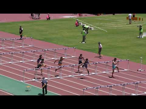 男子110mH 予選2組　北関東 R01