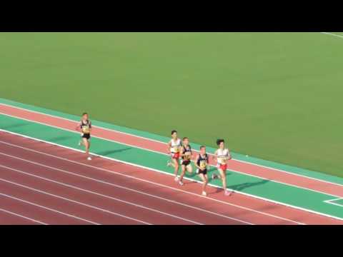 2016年度兵庫選手権　男子5000m決勝