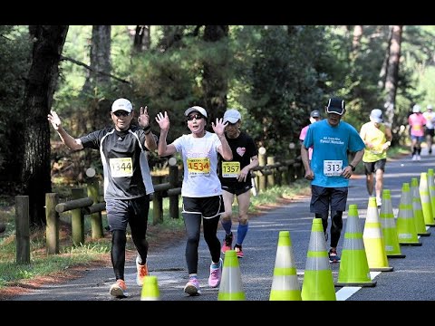 敦賀マラソン2023、秋の港町1654人が駆ける　福井県敦賀市