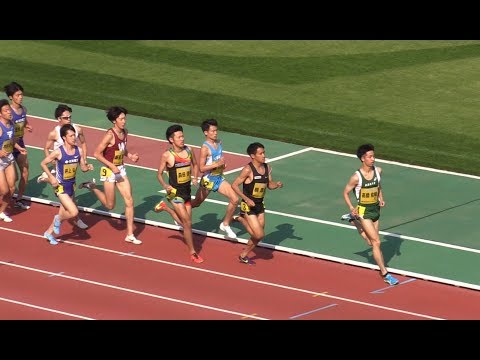 GP男子1500m決勝（舟津 彰馬/3分46秒10） 兵庫リレーカーニバル 2019.4