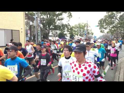 菊池桜マラソン2017(ハーフstart）