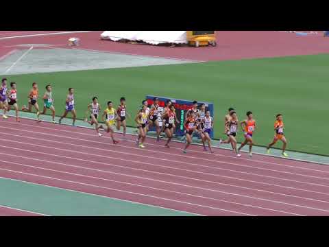H30　ジュニアオリンピック　B男子1500m　予選2組