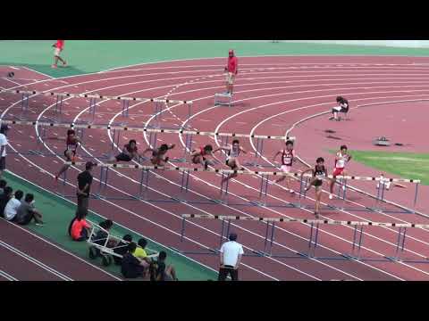 2018 茨城県高校個人選手権 男子110mJH決勝
