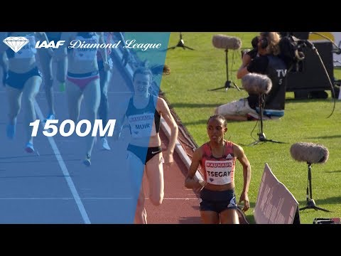 Gudaf Tsegay Wins Women&#039;s 1500m Women - IAAF Diamond League Stockholm 2018