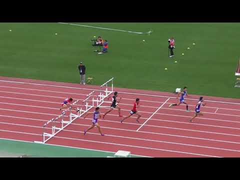 H30　北関東　男子110mH　予選4組