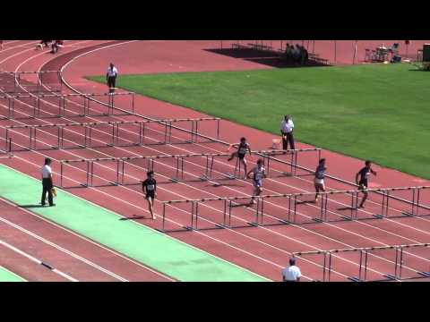 2015 関東選手権陸上 男子110mH 予選2組