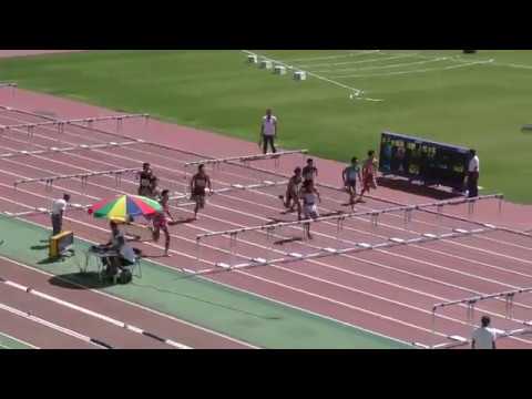 H30　関東選手権　男子十種競技110mH　1組