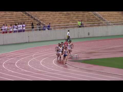 2017 東海学生陸上 男子800m 準決勝 1
