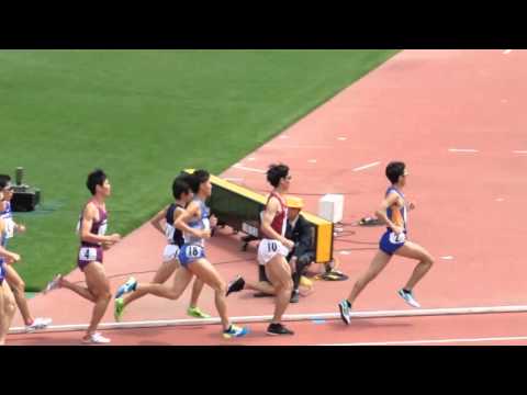 2016年　兵庫リレーカーニバル　一般男子5000m