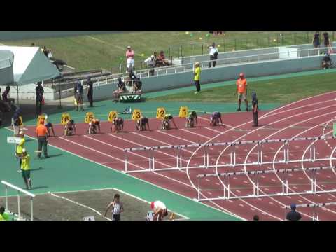 H29　北関東　男子110mH 　決勝