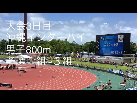 予選 男子800m 1〜3組 沖縄インターハイ R1