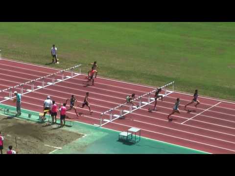 H29　千葉県中学総体　男子110mH　準決勝1組