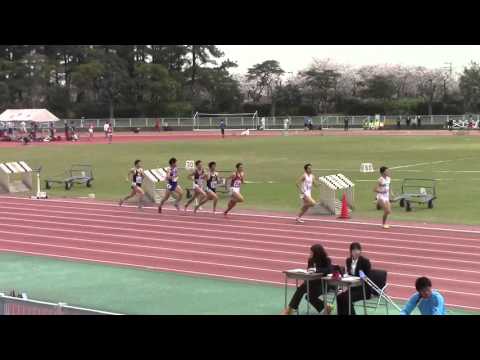 2016東海学生春季 男子800m 3