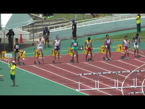 H29　南関東　男子110mH　準決勝1組