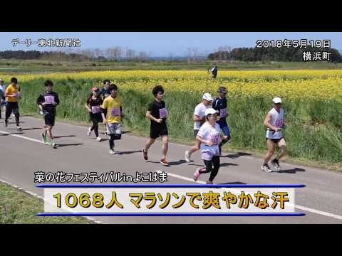 菜の花マラソン１０６８人駆ける／横浜町・菜の花フェスティバル(2018/05/20)