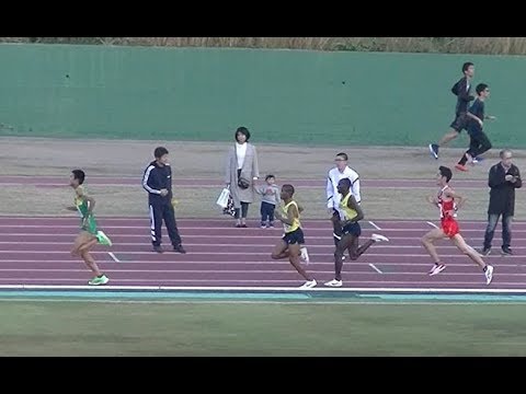 20191123鞘ヶ谷記録会 一般高校男子5000m最終組（第11組）