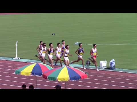 2016 日本インカレ陸上 男子800m予選3