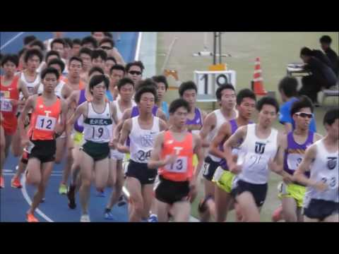 【頑張れ中大】 日体大記録会 10000m 7組 岩佐PB･冨原･加井 2017.6.3