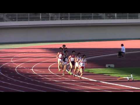 2015 西日本インカレ陸上 男子800m 準決勝2
