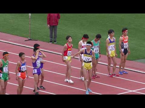 H30　南関東　男子3000mSC　決勝