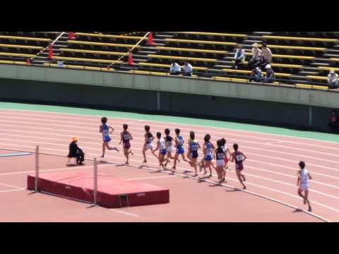 2015年度兵庫リレーカーニバル 一般男子5000m