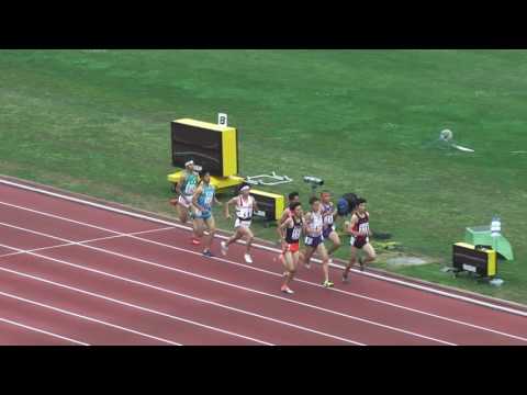 H29　南関東　男子800m　決勝