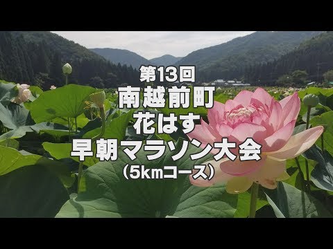 第13回南越前町花はす早朝マラソン【福井県南越前町】2017年7月23日