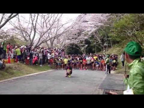 掛川 新茶　マラソン　２０１６年 　３・５キロ　 安田　大サーカス