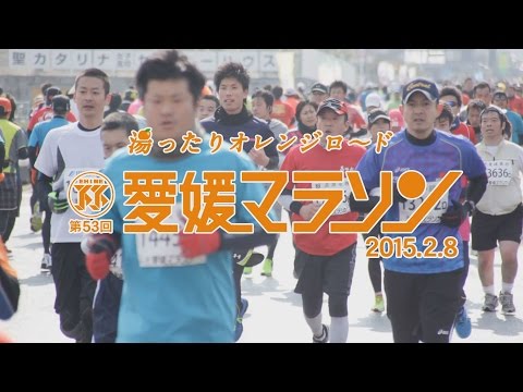 特集・第５３回愛媛マラソン・愛媛新聞