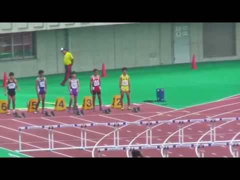 H29年度 中学新人埼玉県大会 男子110mH 決勝