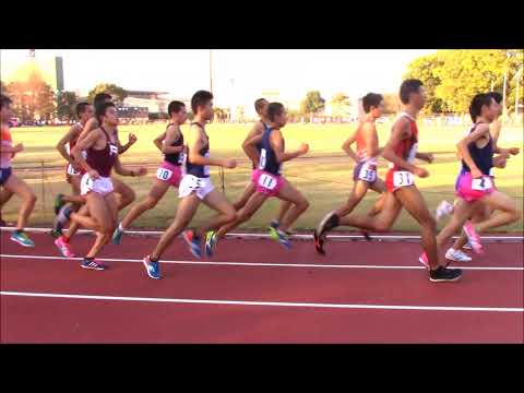 2017 第9回京都陸協記録会　男子5000ｍ8組