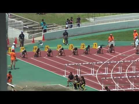 H29　千葉県選手権　男子110ｍH　準決勝2組