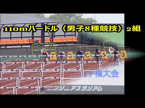 110mハードル（男子8種競技）2組　～愛媛県高校総体2017・陸上競技～