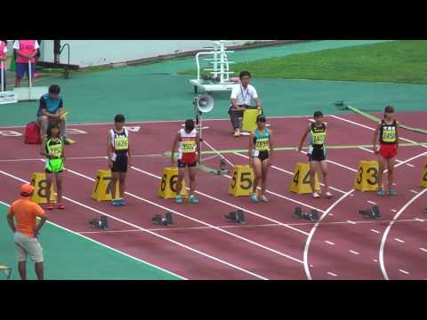 H29　千葉県中学総体　2年女子100m　決勝