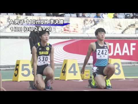 A男子110mJH 準決勝第1組 第46回ジュニアオリンピック