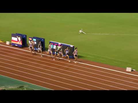 男子800m決勝　U20日本選手権R01