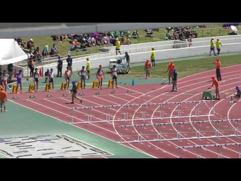 H29　北関東　男子八種競技　110mH2組