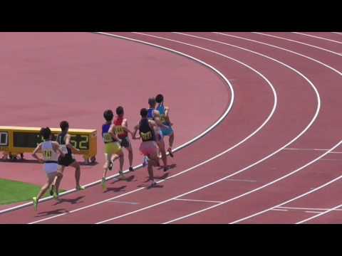 H29長野県選手権　男子800m予選4組（創造学園　小口）