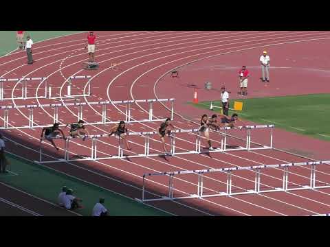 H30　関東選手権　男子110mH　決勝