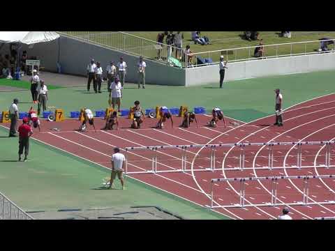 H30　関東選手権　男子110mH　予選1組