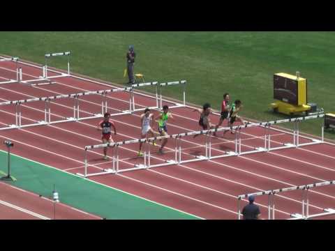 H29　北関東　男子110mH　予選2組