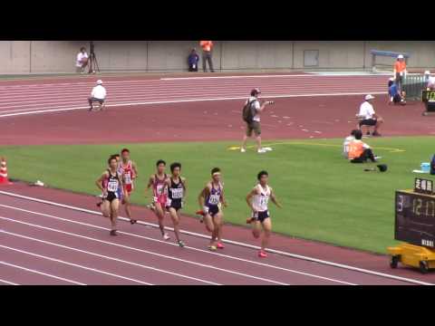 2016 岡山インターハイ陸上 男子800m準決勝1