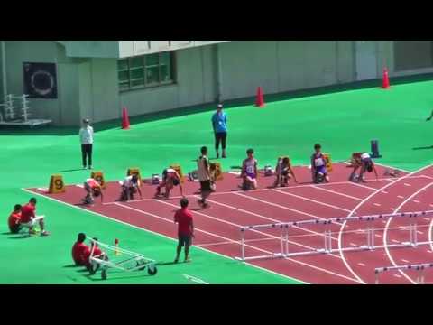 H30年 通信陸上埼玉県大会 男子110mH 予選7組