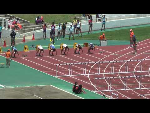 H29　千葉県選手権　男子110ｍH　予選4組